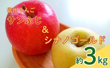【2026年先行予約】サンふじ+シナノゴールド 約3kg| りんご りんご