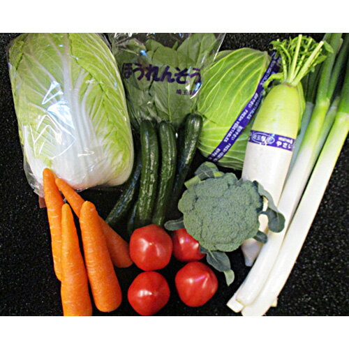 【ふるさと納税】季節の野菜詰合せセット 7~10品 | 埼玉県 東松山市 野菜 旬の野菜 セット 詰め合わせ 新鮮 冷蔵 クール 地元産 地場産 ギフト 野菜セット オーガニックワイルド ヘルシー 地産地消 レシピ 家 ファーマーズマーケット 安心 安全 食べ物