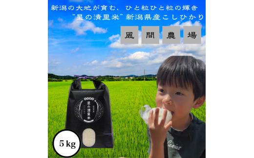 【先行予約　10月中旬より順次出荷】令和7年度産　新潟県上越市産　従来コシヒカリ　精米済5kg こしひかり お米 米 精米 新潟県 上越市