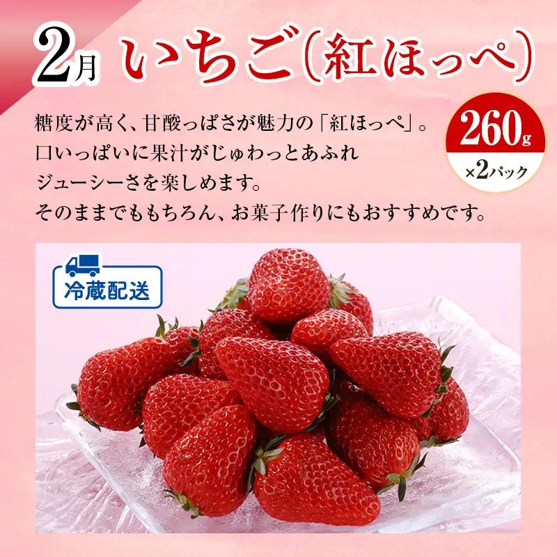 フルーツ 定期便 2ヶ月 みかん 紅ほっぺ フルーツ