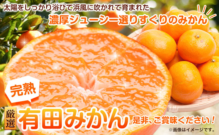 ＜先行予約＞厳選　完熟有田みかん5kg+250g（傷み補償分）【光センサー選果】 池田鹿蔵農園@日高町（池田農園株式会社）《11月中旬-1月下旬頃出荷》和歌山県 日高町【離島配送不可】