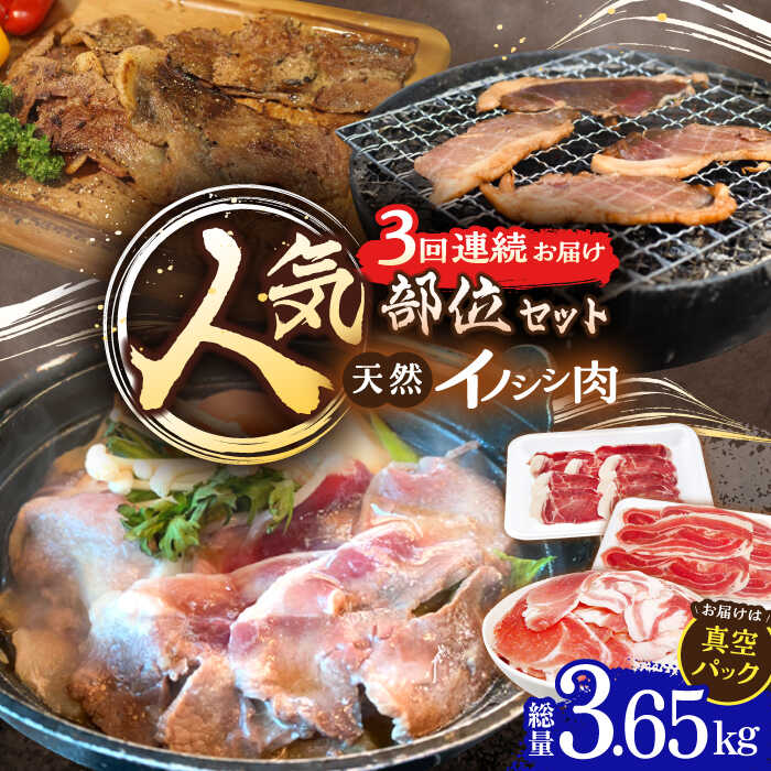 【ふるさと納税】【3回定期便】猪肉 人気部位セット 総量3.65kg / 冷凍発送 いのしし イノシシ 猪 ジビエ 肉 シシ いのしし肉 イノシシ肉 ぼたん鍋 焼肉用 切り落とし こま切れ スライス 冷凍 10万円台 十万円台 九州産 長崎県産 長崎県 川棚町【照本食肉加工所】 [OAJ076]