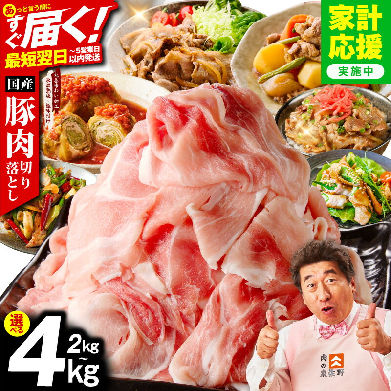 【ふるさと納税】最短翌日発送 国産豚肉 切り落とし 2kg / 3kg / 4kg 氷温熟成 極味付け 1P 500g 豚 肉 豚肉 熟成肉 国産 カレー 野菜炒め 豚丼 豚汁 発送月 訳あり 冷凍 ストック 時短調理 5営業日 大阪府 泉佐野市 送料無料 肉の泉佐野
