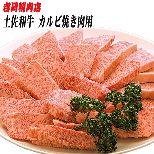 【ふるさと納税】土佐和牛カルビ (焼肉用) 約500g 【グレイジア株式会社】[ATAC023]