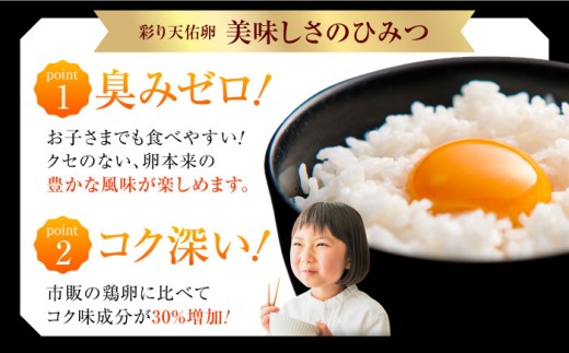 卵 【平飼い卵】黄身の濃厚なコクと白身の甘み！たたらの里平飼い 彩り天佑卵 20個入り（10個×2P）たまご 放牧卵 玉子 タマゴ 鶏卵 生卵 国産 平飼い 放し飼い 卵焼き 卵かけご飯 TKG 朝食