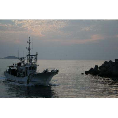 ふるさと納税 大田市 匠が造る天然鯛入りストかまぼこ〜潮風セット〜【蒲鉾 野焼き さつま揚げ 詰め合わせセット】 |  | 03