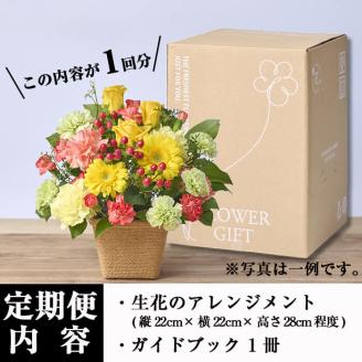 ＜定期便・12回(連続)＞1年間毎月届くお花の定期便！季節のお楽しみフラワーアレンジメント(生花)【FM-8】【フラワーショップまつだ】