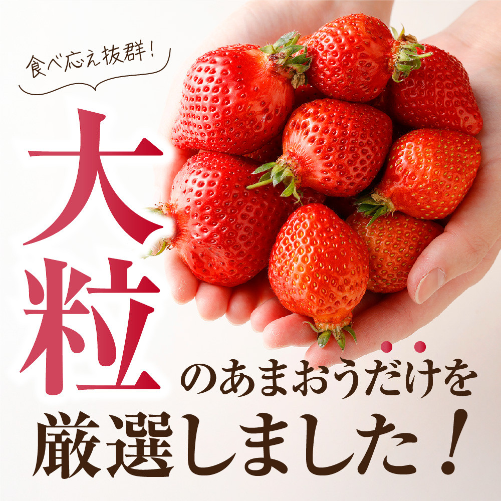 大粒セレクト！大人気のあまおう 約280g×2パック【2023年2月中旬～3月お届け】福岡県産ブランドいちご_KA0277