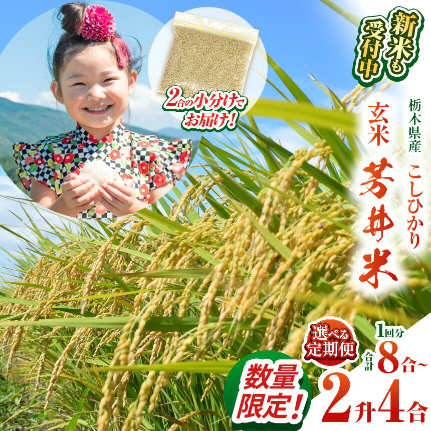 【ふるさと納税】 新米 芳井米（こしひかり） 玄米 米 ごはん ふっくら もちもち 先行予約 那珂川町産芳井米（こしひかり） 330g（2合分）×4、8，12 定期便あり 先行予約 | ふるさと納税 美味しい お弁当 おにぎり おいしい 数量限定 ご飯 期間限定 栃木県 那珂川町