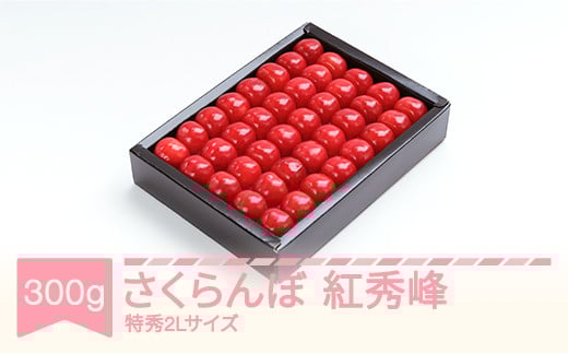 
            先行予約 さくらんぼ 紅秀峰 特秀2Lサイズ 300g 化粧箱鏡詰め 2026年産 令和8年産 山形県産 ns-bst2x300
          