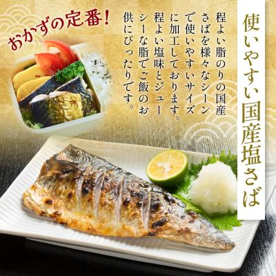 ふるさと納税 石巻市 訳あり 塩サバフィーレ 1kg (10枚前後) 鯖 冷凍 不揃い 魚 お魚  おかず お弁当 |  | 01