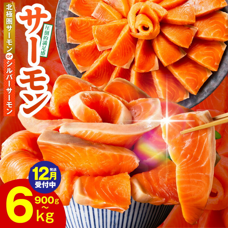 【ふるさと納税】11/27～寄附額改定 満足度9割以上 サーモン ポーション 1kg / 1.5kg 切落し 900g 定期便 訳あり 発送時期が選べる サイズ不揃い 鮭 小分け ブロック 柵 刺身 海鮮丼 生食 鮮度抜群 海鮮 冷凍 楽天限定 年内発送 受付中 発送月 大阪府 泉佐野市