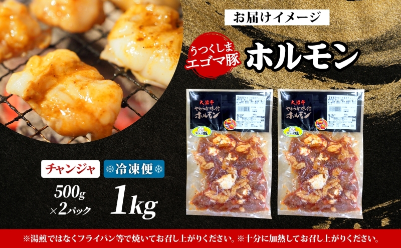 大沼亭 市場直営店 ホルモン チャンジャ 約1kg ホルモン焼き ピリ辛 豚ホルモン 豚ホル ぷるぷる とろける 食感 お酒のお供 おつまみ おかず ごはんのお供 冷凍 うつくしまエゴマ豚 お取り寄せ