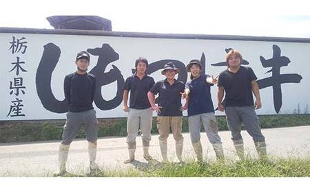 カレー、シチューにぴったりな牛スジです 栃木県産 厳選下野牛！肉スジ 約600g 国産 ブランド牛 牛肉 肉 牛筋 牛スジ 牛すじ カレー 煮込み 調理 食品 冷凍 贈答 贈り物 ギフト プレゼント 