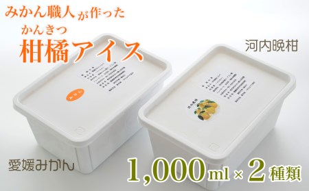 アイス 柑橘 愛媛 みかん 河内晩柑 1000ml 2種 ギフト 詰め合わせ アイス 有名 みかん 河内晩柑 みかん職人 アイス 武田屋 お取り寄せ 贈り物 みかん 河内晩柑 アイス 贈答品 氷菓 シ