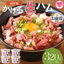 【ふるさと納税】【年内お届け】＜かける国産生ハム 80g×4(計320g)＞国産 豚肉 お肉 生ハム 短冊 フレーク状生ハム トッピング ご飯 ご飯のお供 ごはん かけるだけ ズボラ飯 ユッケ サラダ パスタ ピザ おつまみ 【MI477-pl】【株式会社プラス】