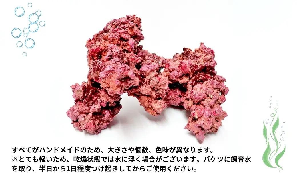 【養殖】クラフトロック | 水槽 新潟県 出雲崎町