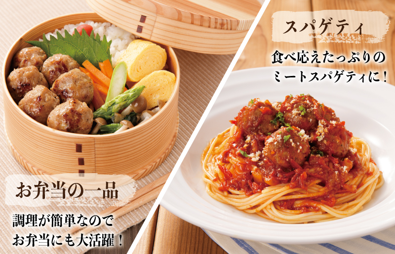 【期間限定】犬鳴豚の手作り肉団子（60個入り）＋手作りプレミアムハンバーグ（2個入り）【国産 豚肉 泉佐野ブランド豚 犬鳴ポーク】 010B1285-1