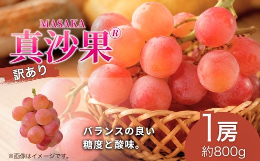 【2026年先行予約】訳あり 真沙果