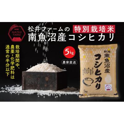 ふるさと納税 南魚沼市 令和8年産　南魚沼産コシヒカリ〜特別栽培米【無洗米】〜(5kg)