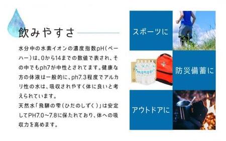  天然水 飛騨の雫 500ml×48本 (2ケース)　水 ペットボトル 飲料水 500ミリリットル 白啓酒店 飛騨高山 TR4147
