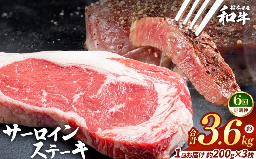 【定期便6回】栃木県産和牛 サーロインステーキ 約200gx3枚  | 定期便 牛肉 和牛 ステーキ サーロイン ステーキ ステーキ用 旨味 美味しい 肉 お肉  栃木県共通返礼品 栃木県 真岡市