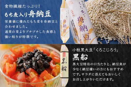 舟納豆 厳選小粒セット 10個 食べ比べ 【納豆】 【ho1229】