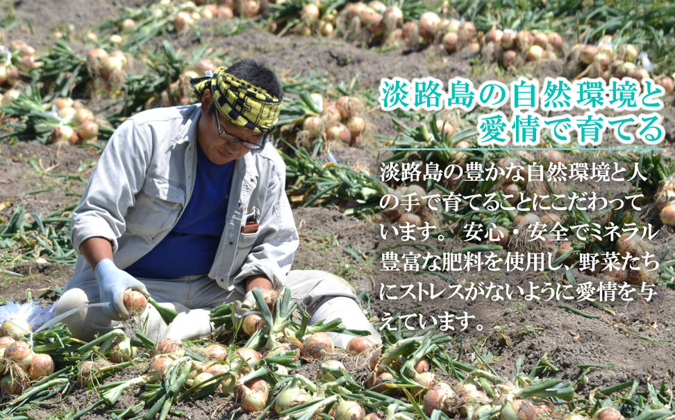 名手農園の淡路島特産季節の農園セット
