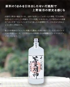 本格焼酎「芋大明神」１ケース(12本)