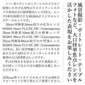 【ソニーEマウント用】SIGMA APS-Cサイズ用 単焦点レンズ3本セット