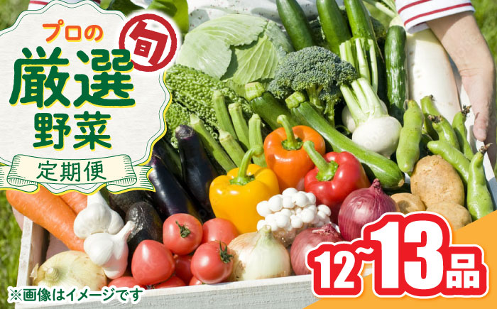 野菜のプロが選ぶ 旬の野菜セット 12〜13品目 野菜定期便 / 野菜 やさい セット 新鮮 / 南島原市 / 愛2農園 [SGG005]