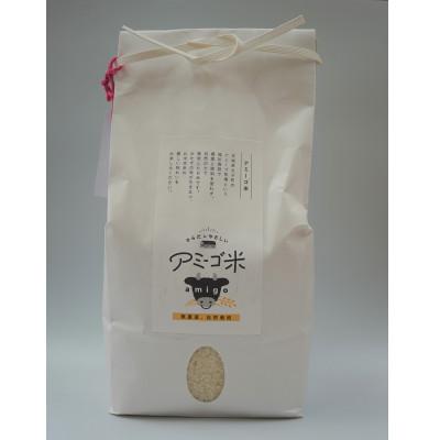 ふるさと納税 大子町 【新米先行予約】アミーゴ米 3kg(コシヒカリ・白米・天日干し)【11月中旬頃出荷】|茨城県 大子町