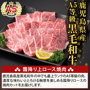 K-482-A 鹿児島県産A５等級黒毛和牛霜降り上ロース焼肉(計250g)【ふるさと産直バザール】霧島市 牛肉 国産 鹿児島県産 ロース 焼肉 肉 精肉