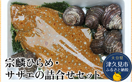 宗麟ひらめ・サザエの詰合せセット | サザエ 津久見市