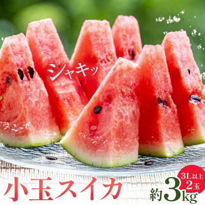 小玉スイカ 3L以上 2玉 計約3kg 株式会社エフビーネット《5月上旬-7月中旬頃出荷》熊本県 菊池市 小玉すいか すいか スイカ 西瓜 果物 フルーツ