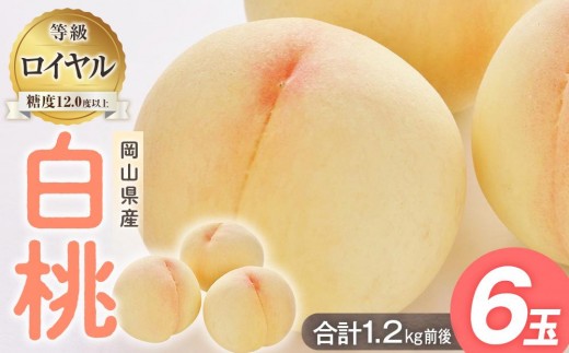 桃 2027年  白桃 等級: ロイヤル 糖度12.0度以上 6玉入り 合計1.2kg前後 もも モモ 岡山県産 国産 フルーツ 果物 ギフト
