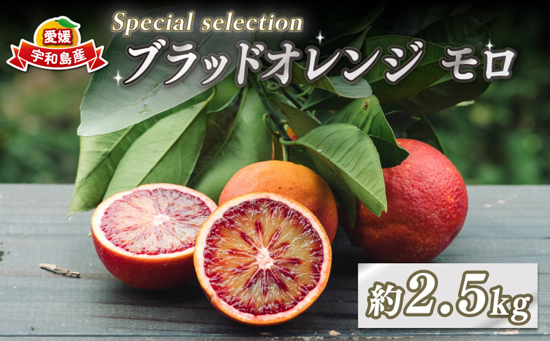 
            ブラッドオレンジ モロ Special selection 2.5kg コルレオファーム 果物フルーツ ブラッド オレンジ 柑橘 みかん 蜜柑 mikan 愛媛ミカン 愛媛蜜柑 愛媛みかん 農家直送 産地直送 数量限定 国産 愛媛 宇和島 B010-145004
          
