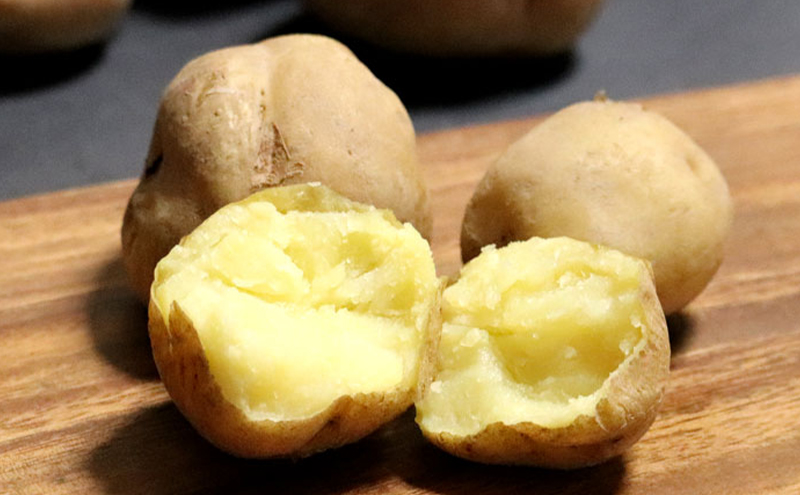 【2025年10月～発送】甘くてホクホク！じゃがいも きたあかり 【約10kg】 (スイートベジタブルファクトリー) 野菜 新鮮 直送 朝採り じゃがいも 芋 インカのめざめ いんか 道産 北海道 ふ