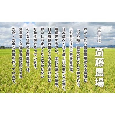 ふるさと納税 鶴岡市 斎藤農場の つや姫 パックごはん 180g×36食 無菌包装米飯 [K-761] |  | 02