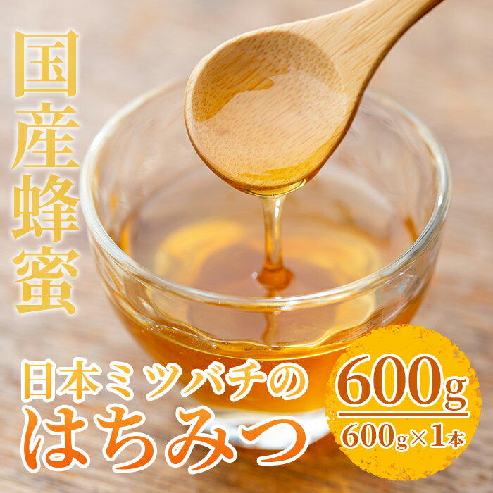 【ふるさと納税】＜数量限定＞国産！日本ミツバチの蜂蜜(600g×1本・計600g) 国産 はちみつ ハチミツ 常温 常温配送 【セゾン企画】