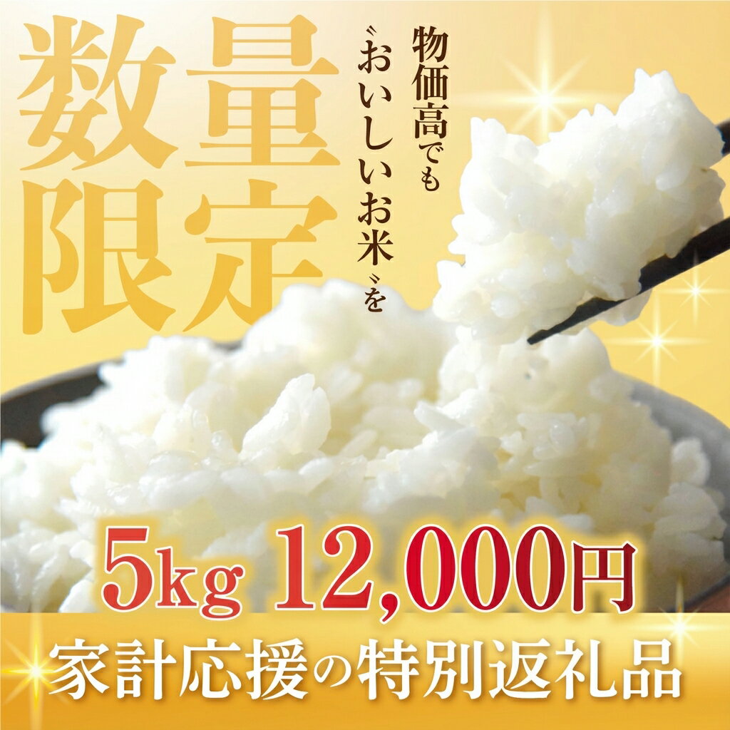 【ふるさと納税】《 令和7年産 新米 》若手農家のこしひかり 5kg 10kg 選べる お米 おこめ 米 コメ ごはん コシヒカリ ご飯 ブランド米 精米 令和7年 定期便 どうまい 売り切れ 備蓄米 よりおいしい 愛知県 田原市 渥美半島 人気 先行予約 令和7年産 13000円 KASUKEN