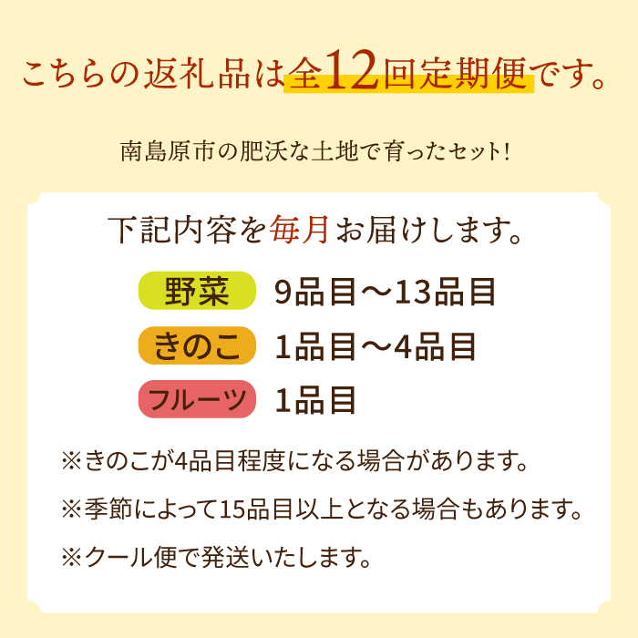 【定期便 毎月コース】豪華！野菜 セット 15品目以上 12回 定期  /  野菜 フルーツ きのこ バラエティ 詰め合わせ 南島原市 / 吉岡青果 [SCZ019]_イメージ5