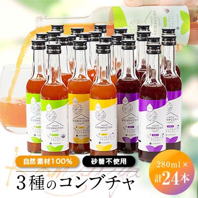 ふるさと納税 忠岡町 砂糖を使わず「アガベ」で発酵させた「自然素材100%」の3種のコンブチャ　(280ml×24本)