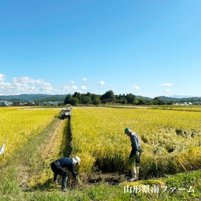 ふるさと納税 南陽市 【令和7年産】 山形県産【雪若丸】精米 20kg(20kg×1袋)【S2568】 |  | 03