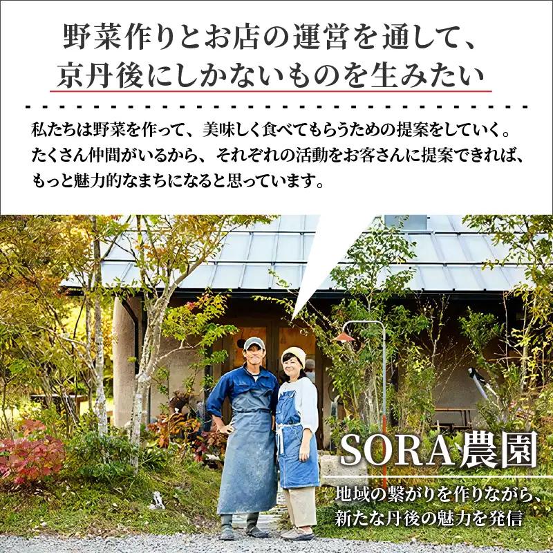 【野菜の定期便】有機野菜セット 夏冬 年２回 | SORA農園