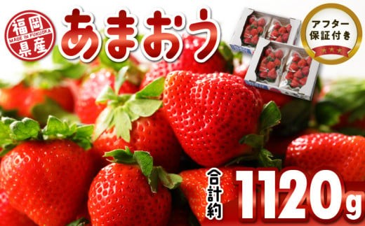 
                  【2027年1月より順次発送】福岡県産 あまおう 約1120g（約280g×4パック）_福岡生まれ いちご あまおう 約280g×4 パック 計約1120g 希少 福岡県産 久留米市 フルーツ 果物 果汁 フルーティー ビタミンＣ キシリトール カリウム 食物繊維 スイーツ デザート いちごジャム いちご煮 冷蔵 お取り寄せ 送料無料_Fi050
                
