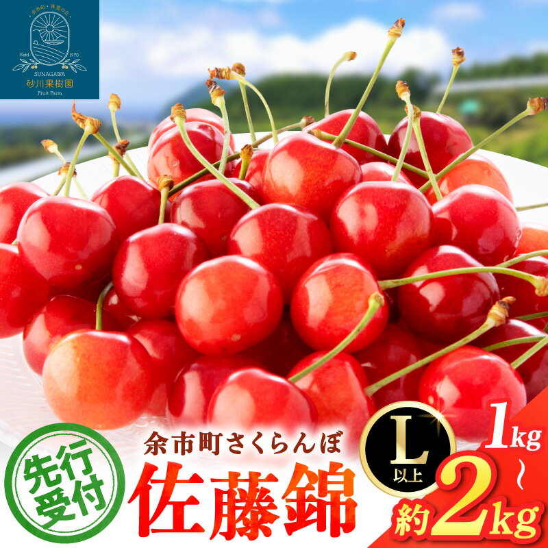 【ふるさと納税】【 先行予約 2026年7月上旬より発送 】余市の砂川果樹園が贈る もぎたて直送さくらんぼ 佐藤錦 1kg箱 Lサイズ以上 期間限定 フルーツ 甘い 選別 母の日 お供え 果物 果実 パフェ お供え物 デザート グルメ ギフト 贈り物 お取り寄せ 北海道 余市町 送料無料