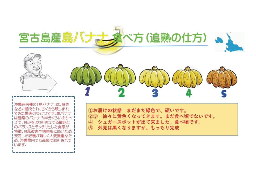 JH013【3回定期便】宮古島 旬の南国フルーツ定期便　(株)フラモン