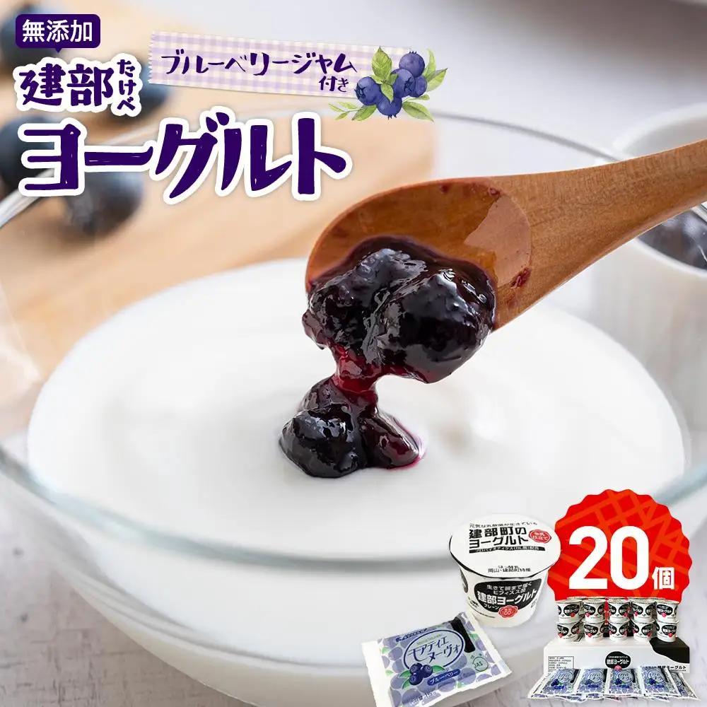 無添加　建部ヨーグルト（ブルーベリージャム付き）20個 [No.5220-0043]