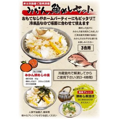 ふるさと納税 伊予市 【吉井鮮魚】みかん鯛めしの素 3合炊き2パック |B373 |  | 03